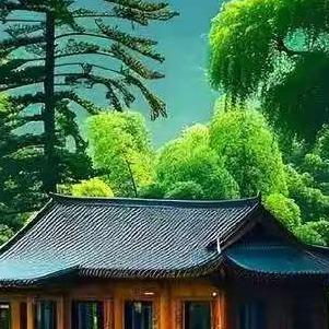 琴清的直播号