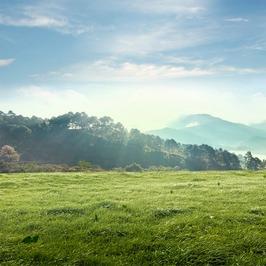 剑南春(全运路店)工瑚浔福利号
