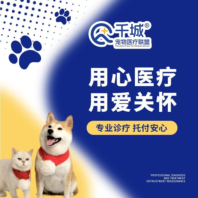 千城·康鸿宠物医院(松山湖店)专用号