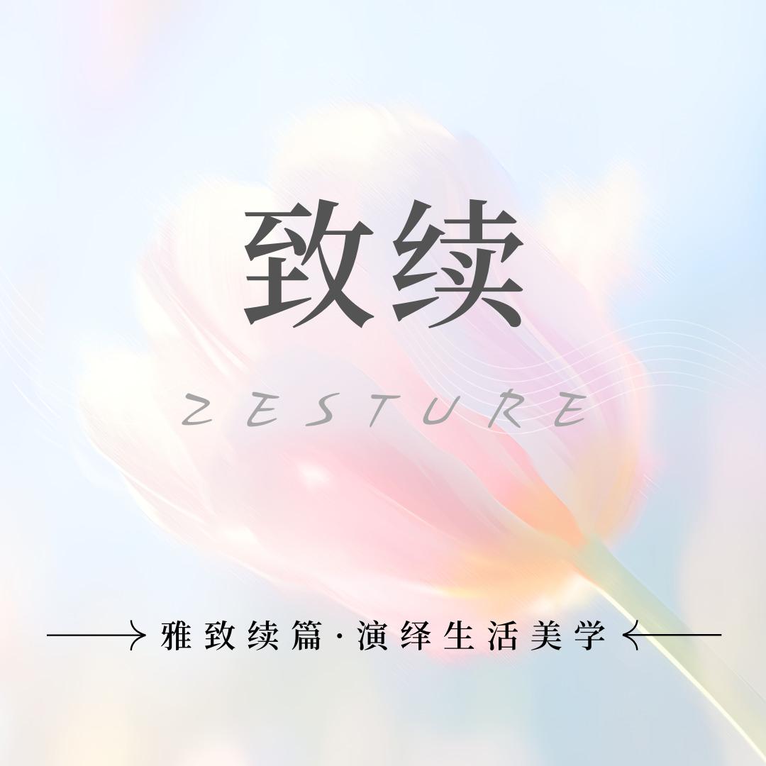 致续·ZESTURE贵阳清镇吾悦店