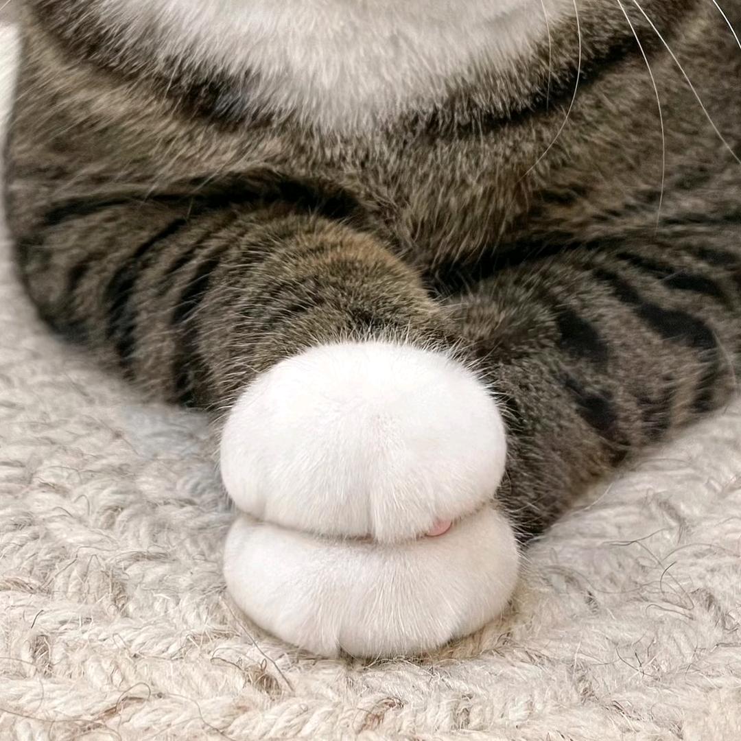 兴国骨康堂(颈肩腰腿)陈菘