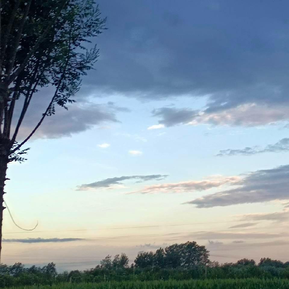 青陆人力资源营销号