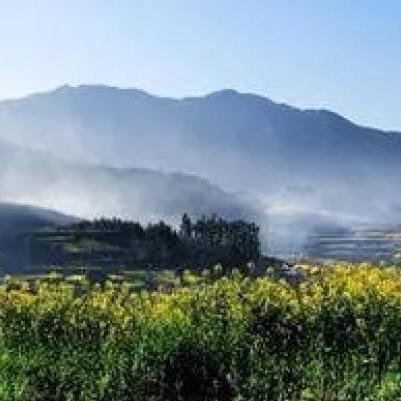 红燕超市精选宠粉号