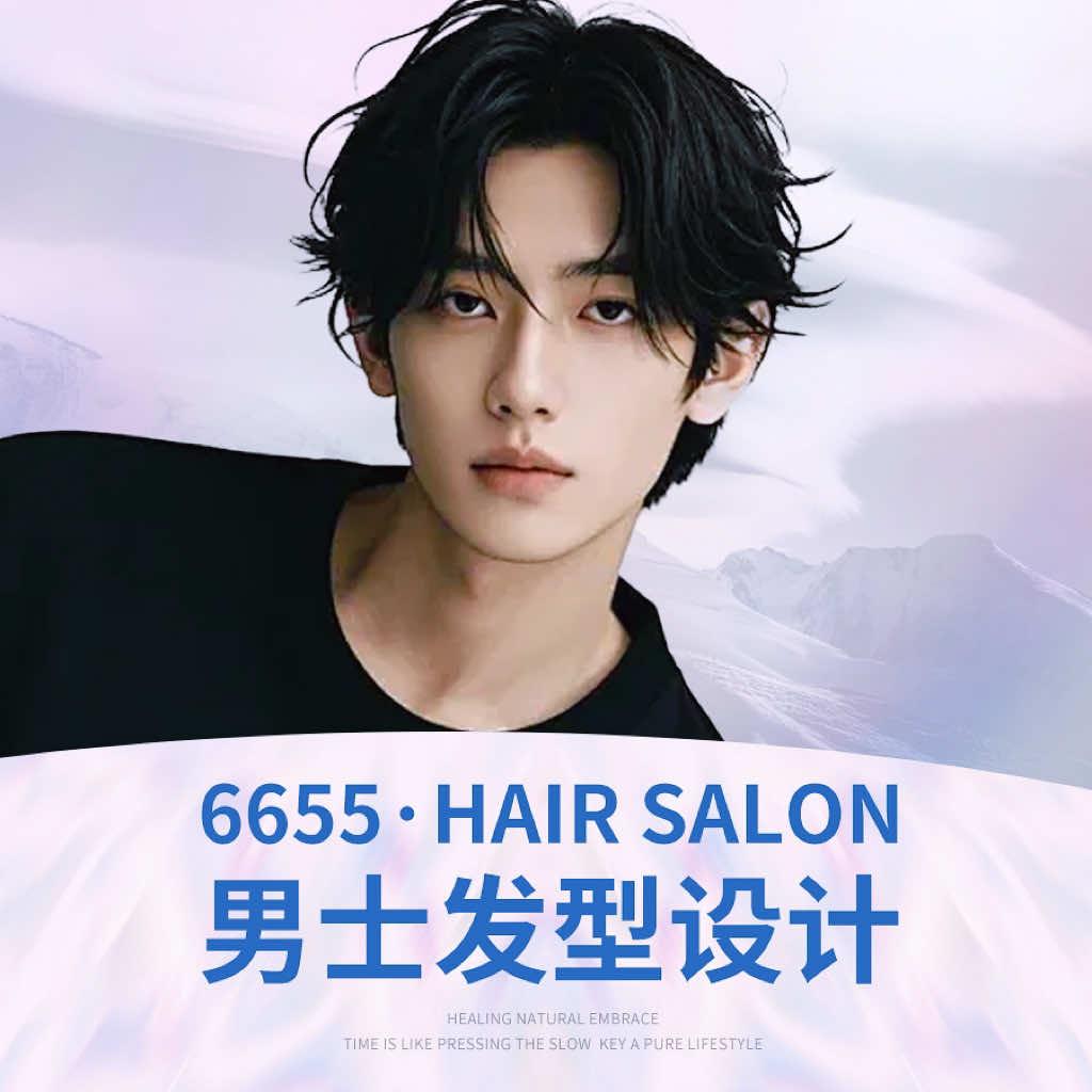 6656 HairSalo男士发型
