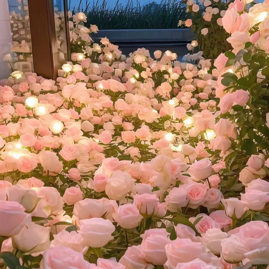 君凤便利店专用号