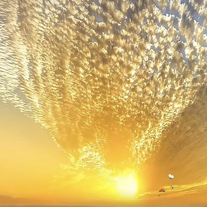 美琪的浪漫时光