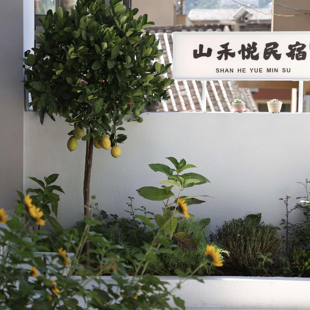 山禾悦民宿官方号
