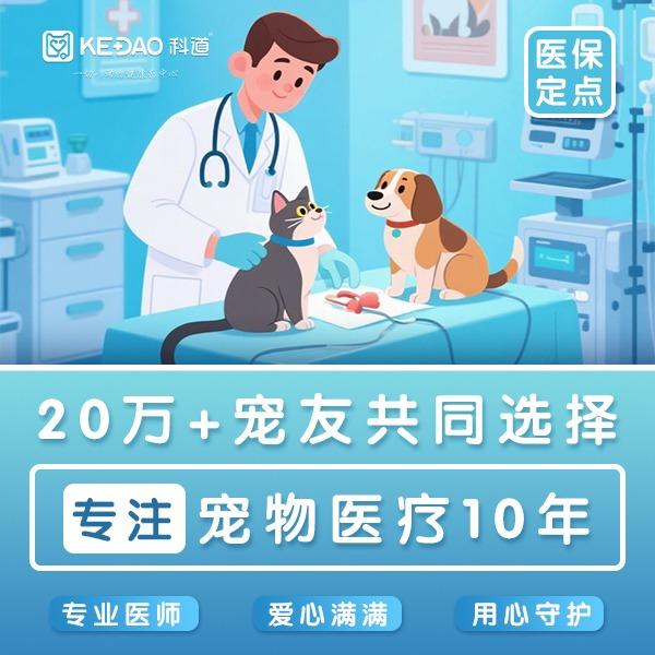 科道动物医院（雄楚分院）