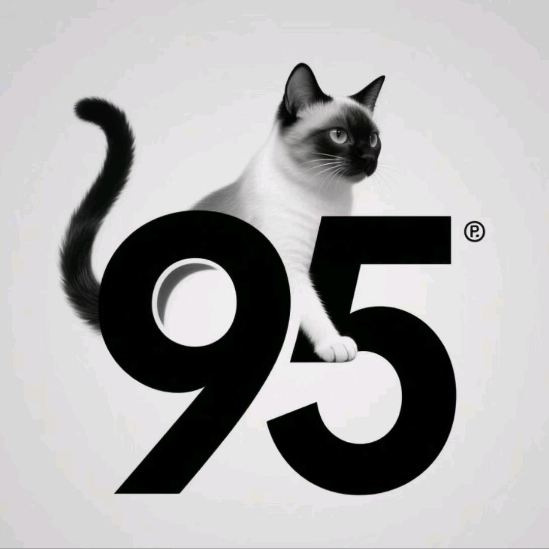 九十五号宠物店