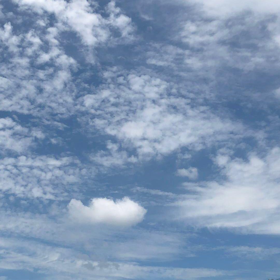 天天汽车美容甄心动天恒