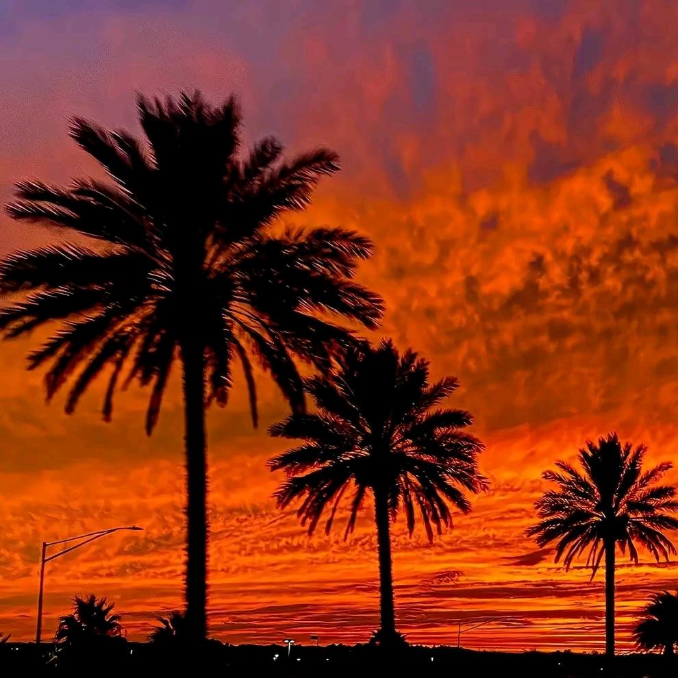 潇潇直播推广号
