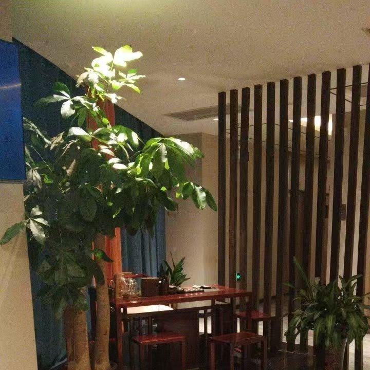 云禾悦影院式足道(雁塔店)宠粉号