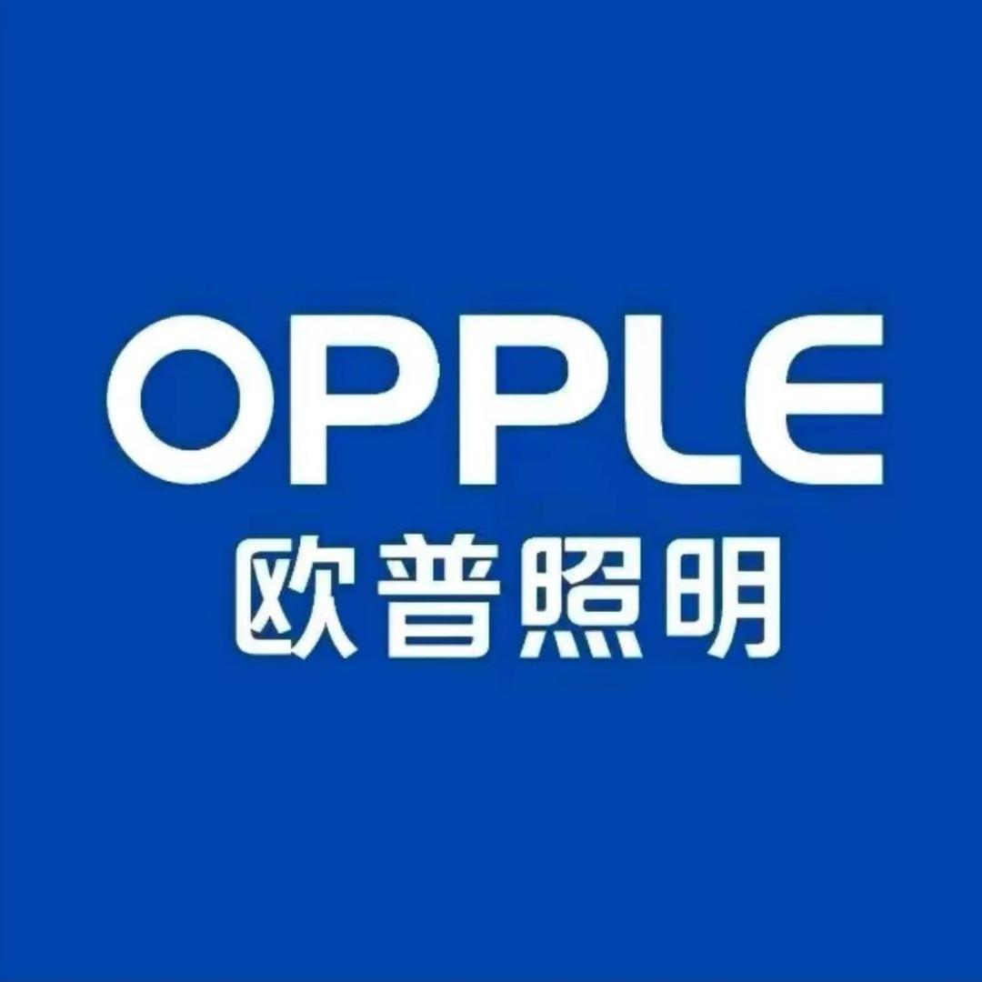 欧普照明(唐河大唐中央店)
