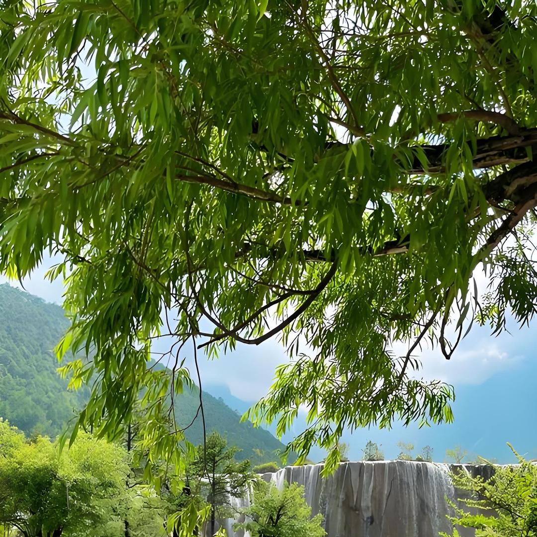 盛名电脑监控 广州芳当ww有限公司