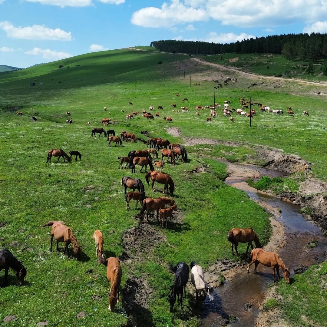 御道风情之旅（坝上草原）