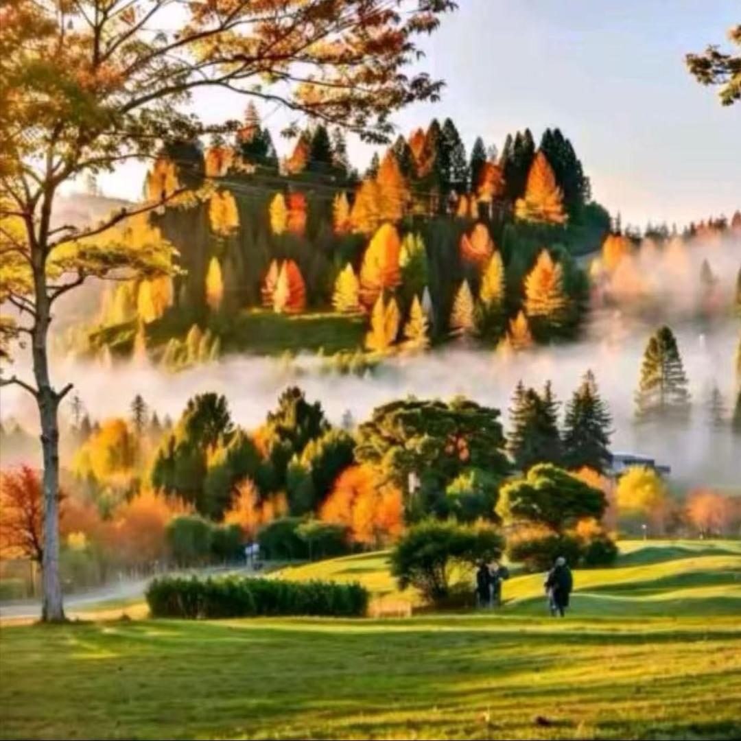 暴如风(海哥经营号)