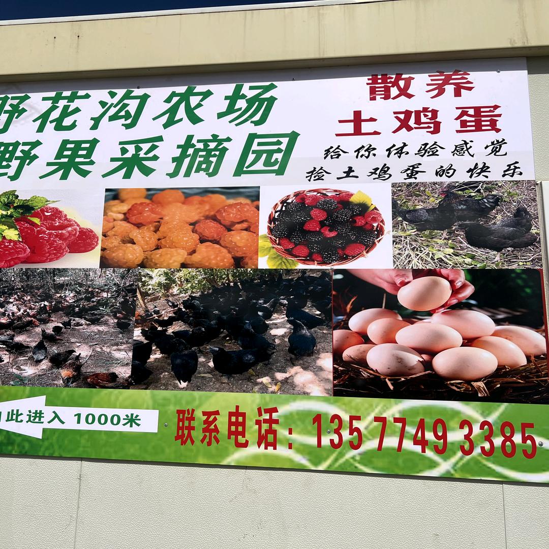 野花沟农场·野果采摘园官方号