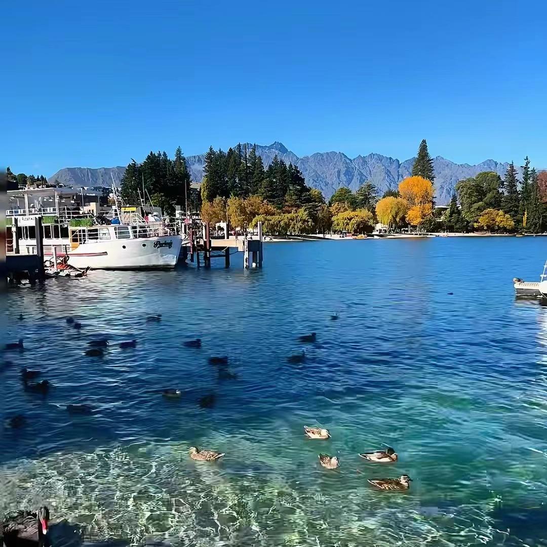 内江格调酒店 紫风铃