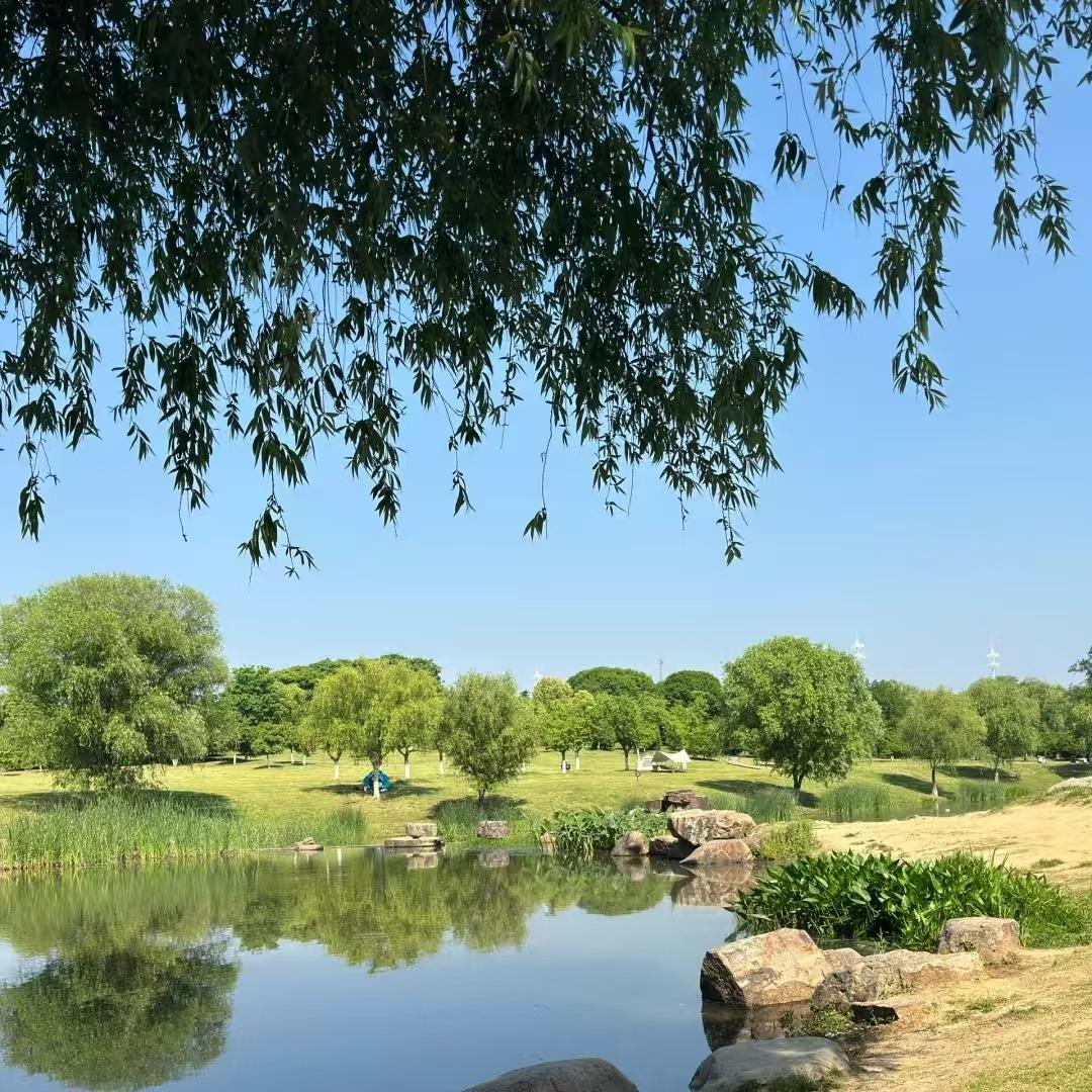 广州诚网直播号