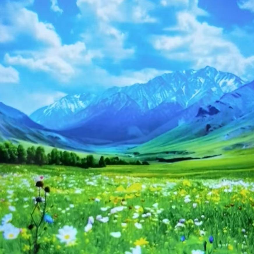 广西朴力生信息技术有限公司直播号