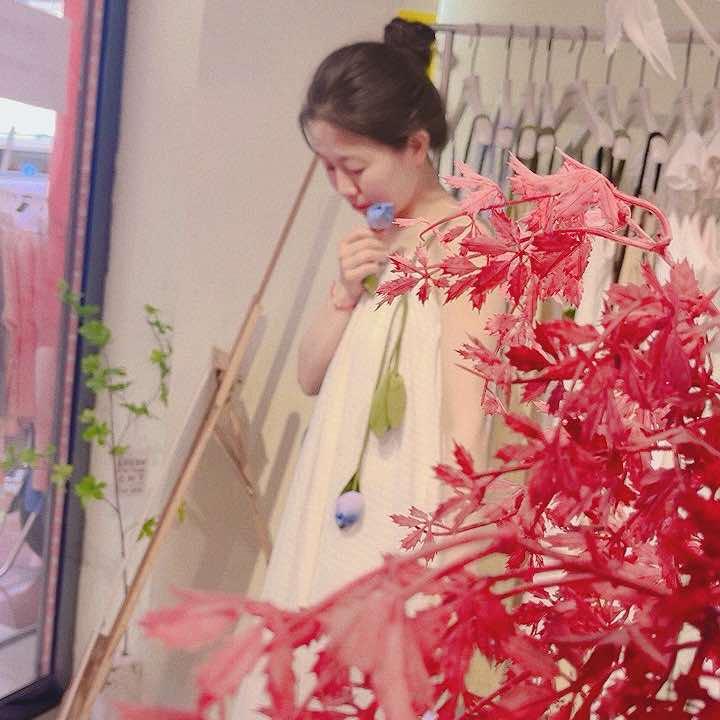 梧桐本色～吱昂张