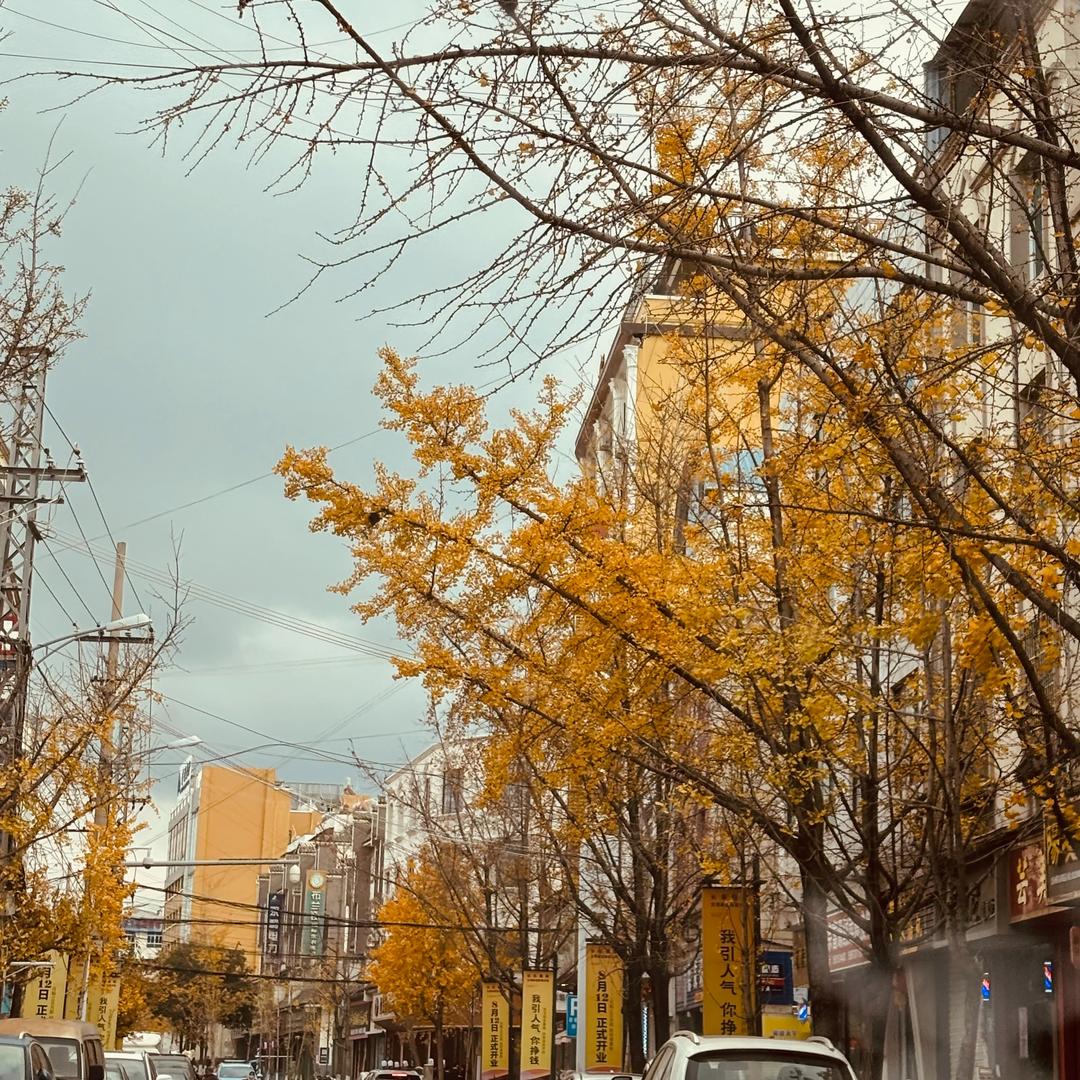 裕妮波波