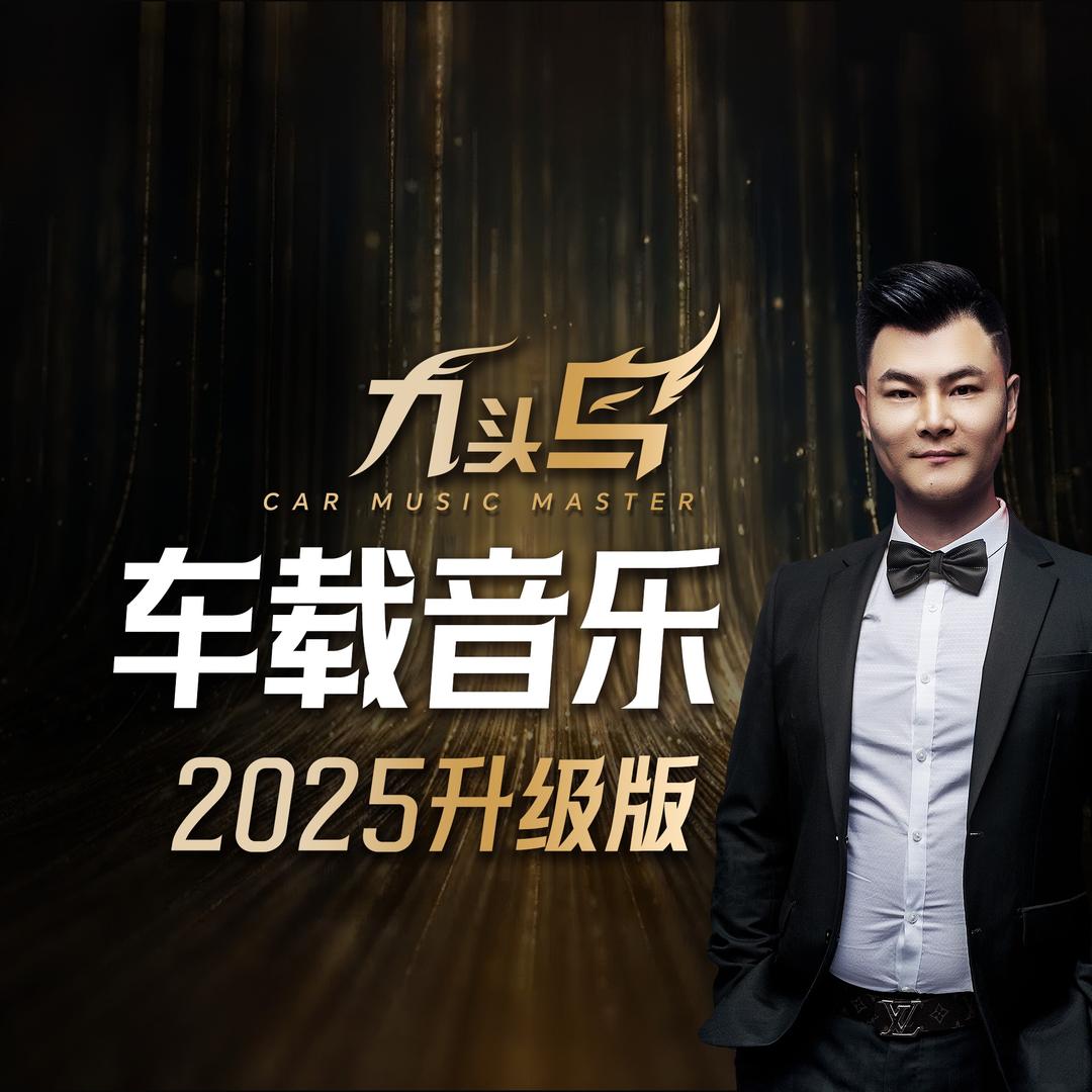 九头鸟汽车音乐（同城团购号）