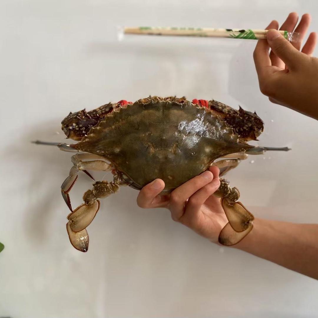 万通水产市场诚信水产