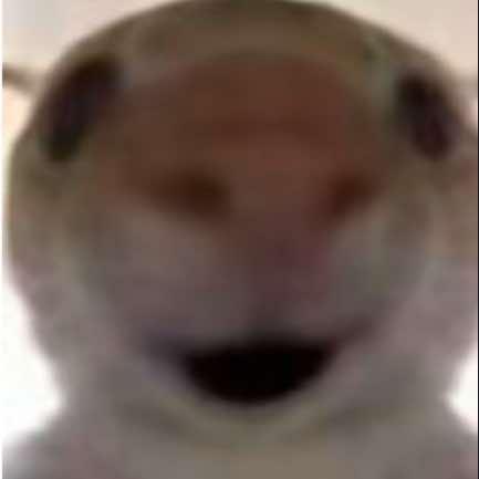 陈记正宗沾益辣子鸡