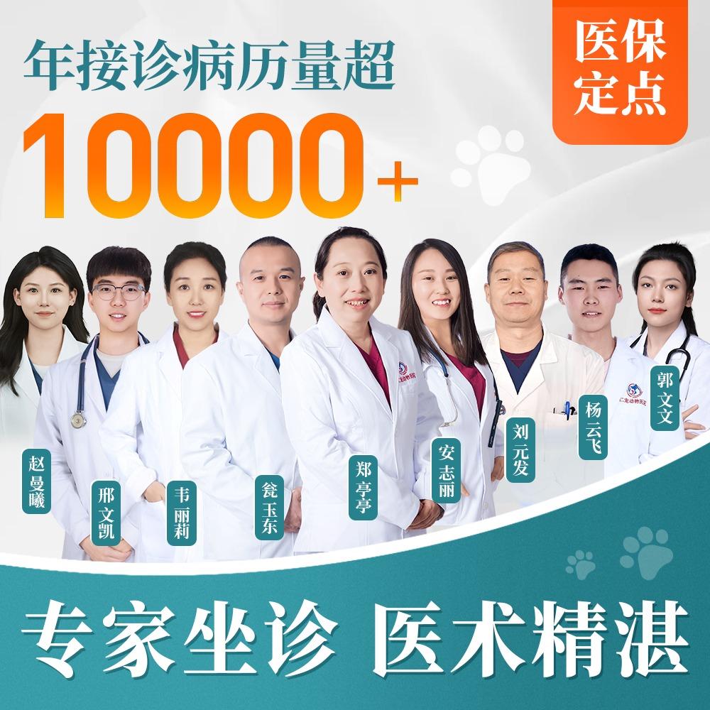 廊坊市仁宠动物医院CT•体外碎石•心超