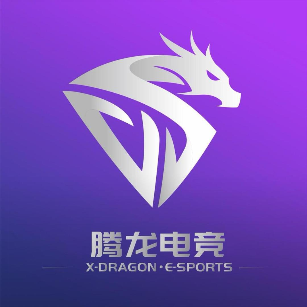 腾龙电竞宠粉号