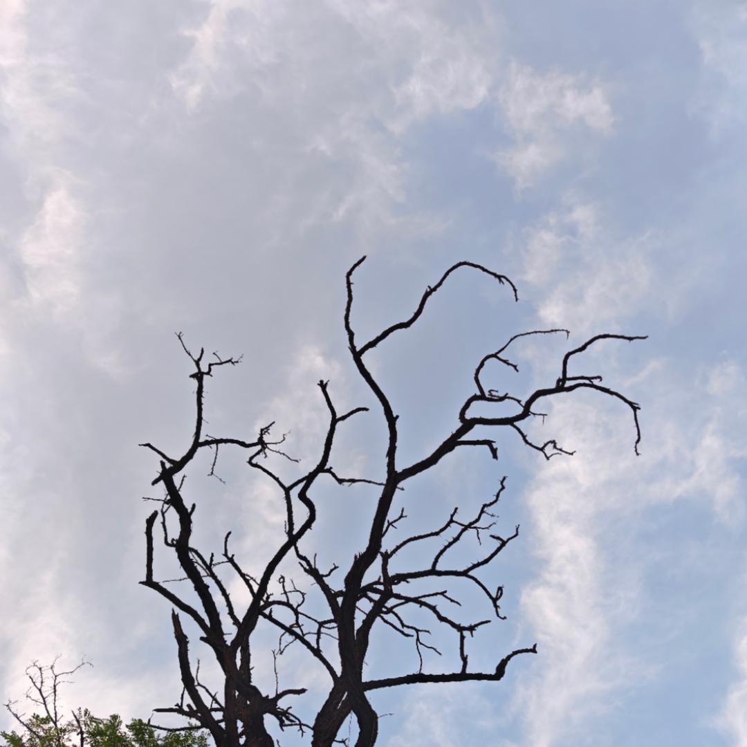 亦庄西岸建材城云月溪河售后号