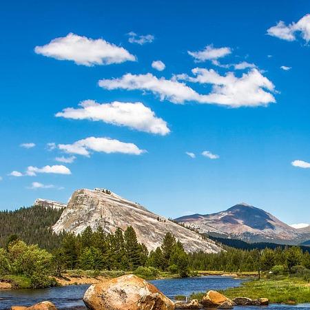 广州曙然宠粉号