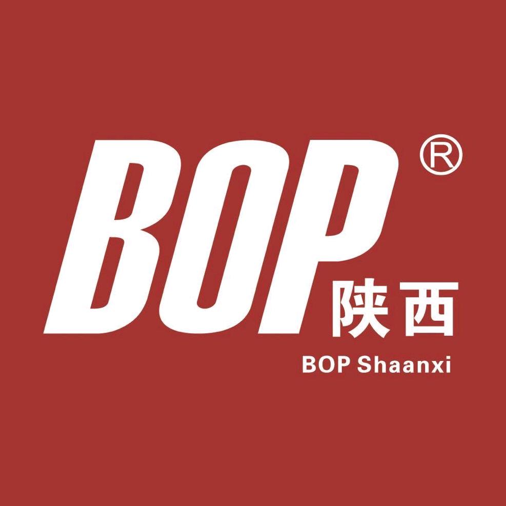 BOP保镖隐形车衣（咸阳高标旗舰店）