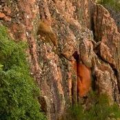 优质达手机(大沽街道店)宠粉号2号