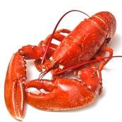 李记隆昌羊肉汤烤全羊官方号