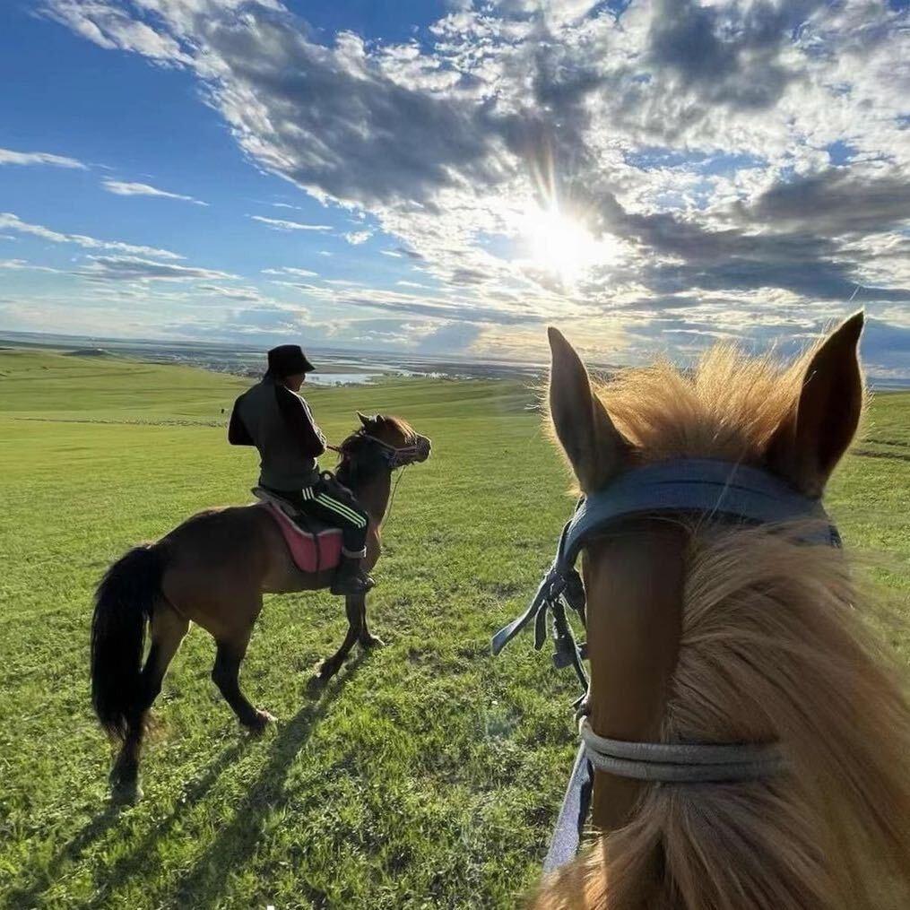 枉心科技直播号