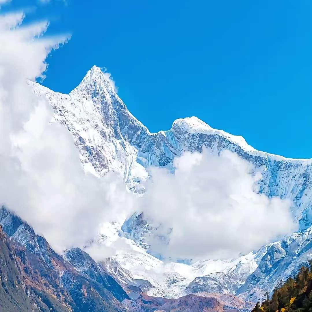 喜市多仕直播号