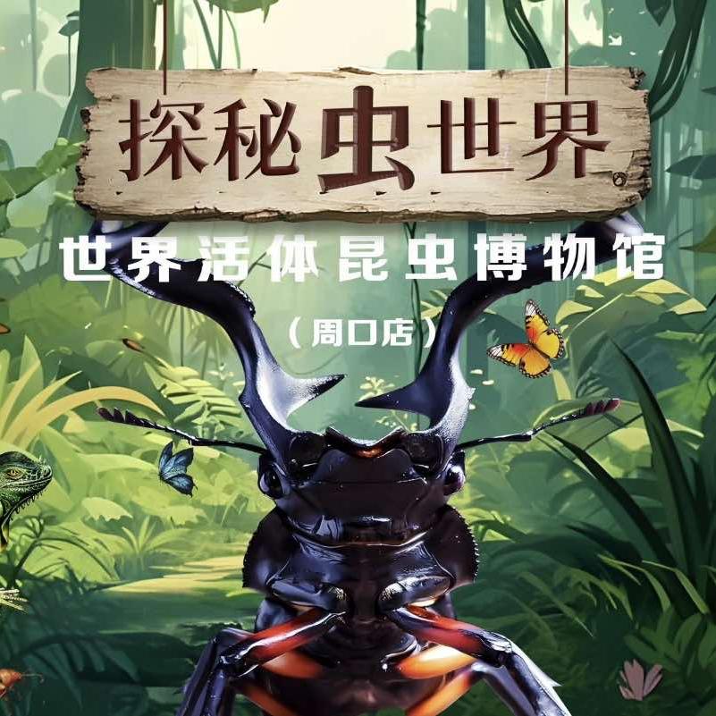 世界活体昆虫博物馆-小辉