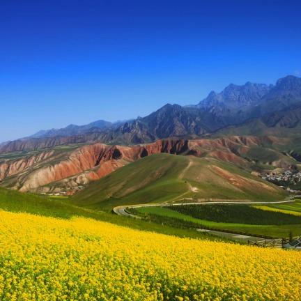 青羊区亿佳日用品经营部喜洋洋闪闪直播号