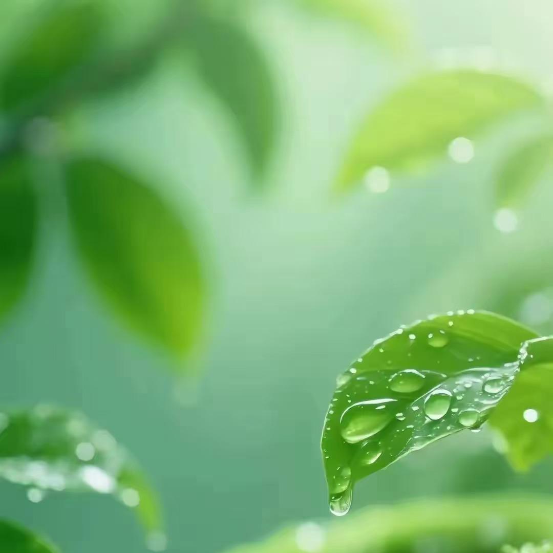 花朵享烨柯