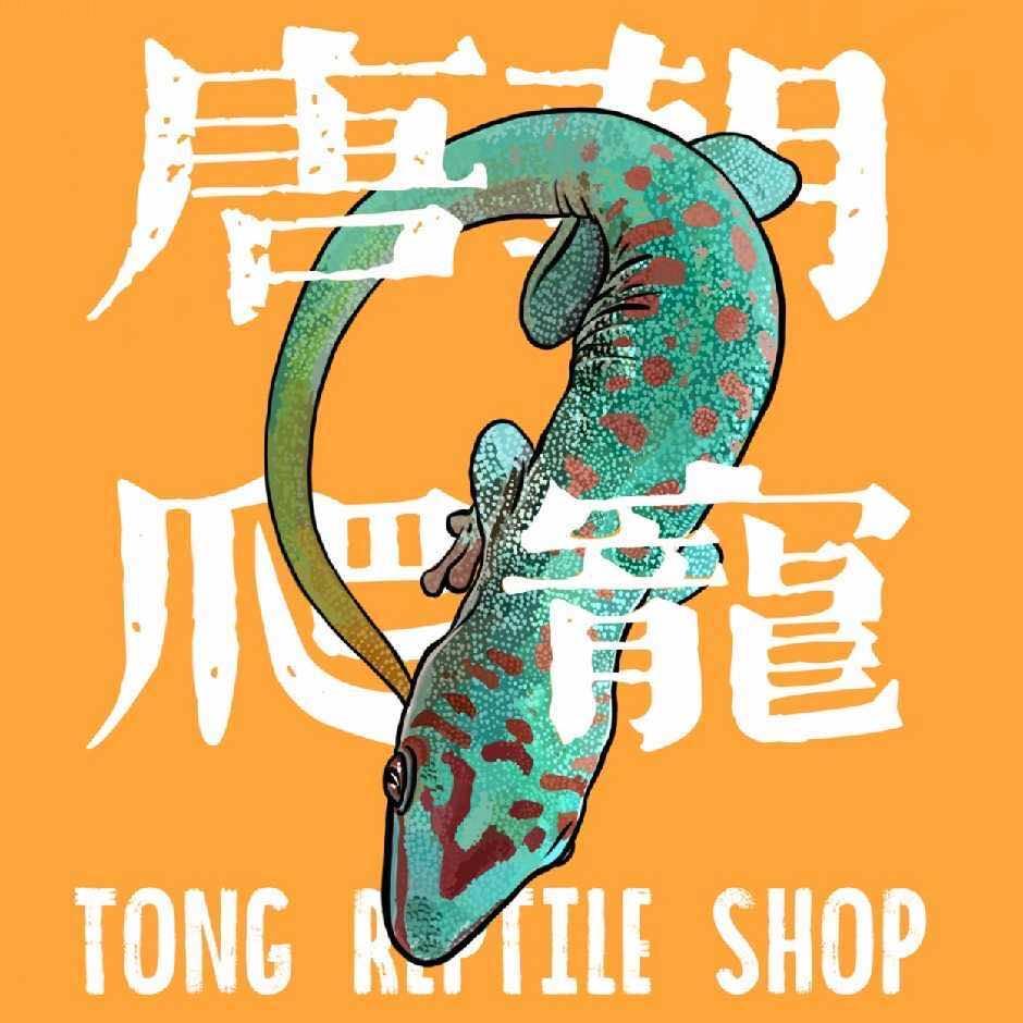 唐朝爬宠(珠海店)