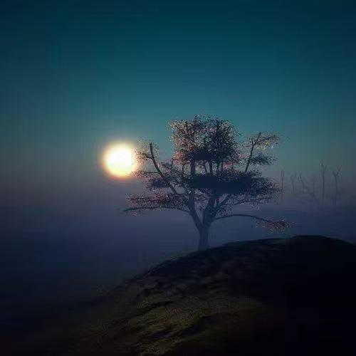 蔚蓝星-宏和思阳