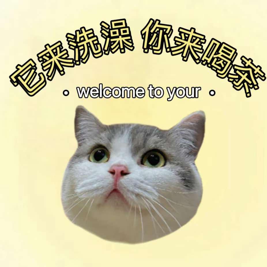 它来洗澡，你来喝茶