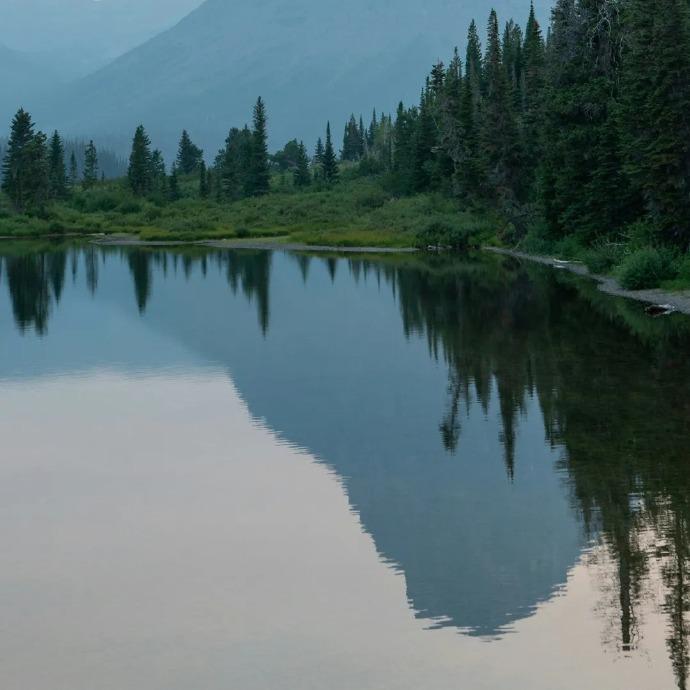 小牛传媒直播号