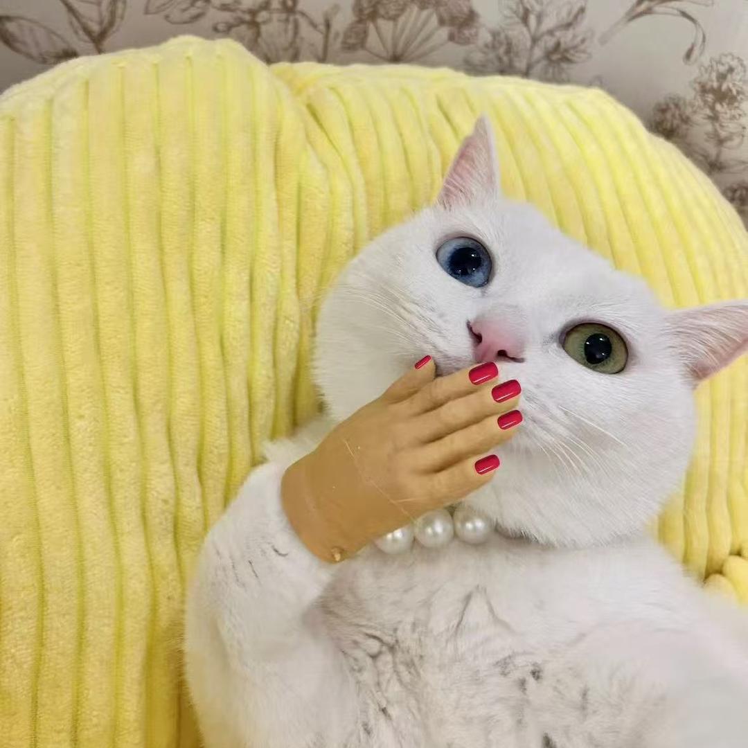 酷盖·cool·nail美甲