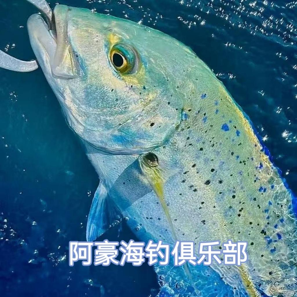 阿豪海钓俱乐部
