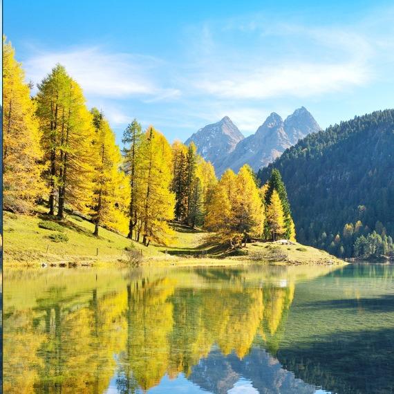 宜购 广州敏健建材有限公司三号直播间