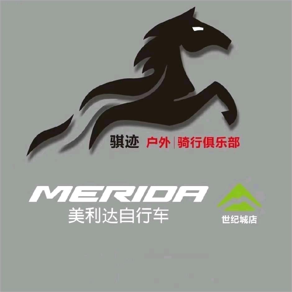 骐迹