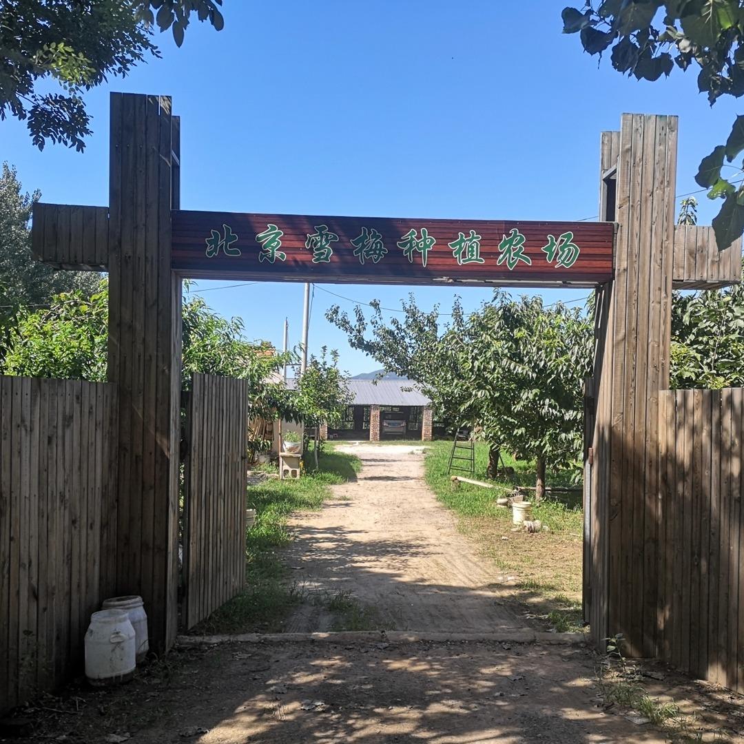 北京雪梅种植农场
